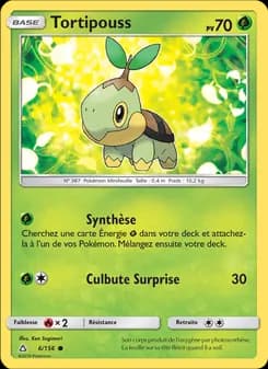 Carte Pokémon
