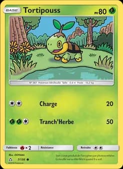 Carte Pokémon
