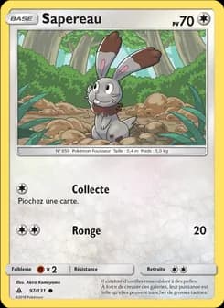 Carte Pokémon