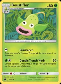 Carte Pokémon