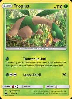 Carte Pokémon