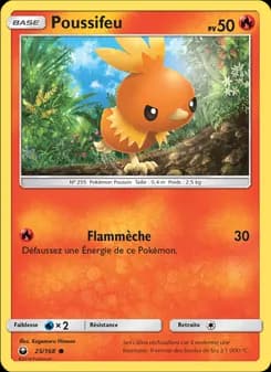 Carte Pokémon