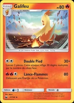 Carte Pokémon