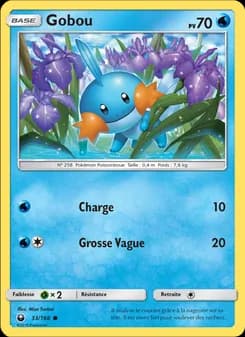 Carte Pokémon