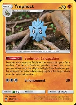 Carte Pokémon