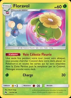 Carte Pokémon