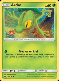 Carte Pokémon
