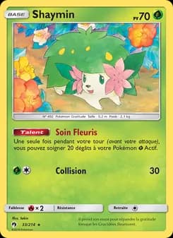 Carte Pokémon