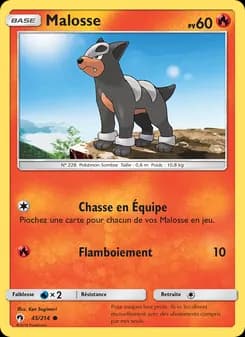 Carte Pokémon