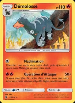 Carte Pokémon