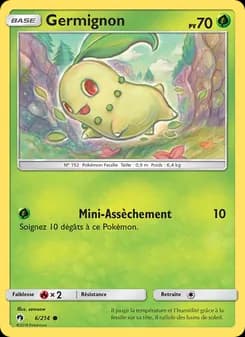 Carte Pokémon
