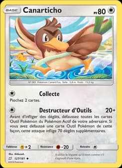 Carte Pokémon