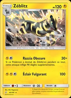 Carte Pokémon