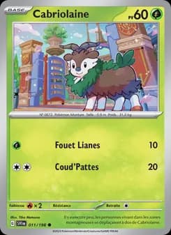Carte Pokémon