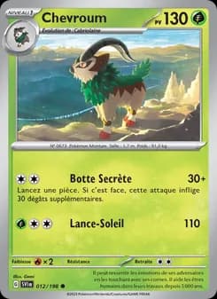 Carte Pokémon
