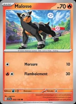 Carte Pokémon