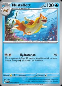 Carte Pokémon