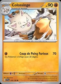 Carte Pokémon
