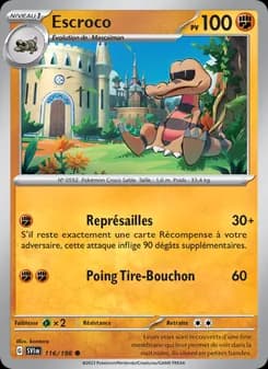Carte Pokémon