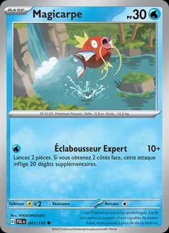 Carte Pokémon