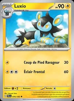 Carte Pokémon