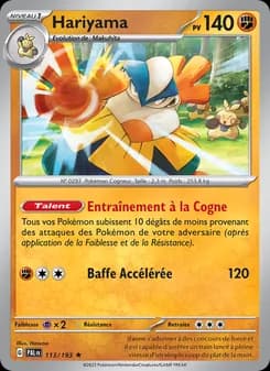 Carte Pokémon