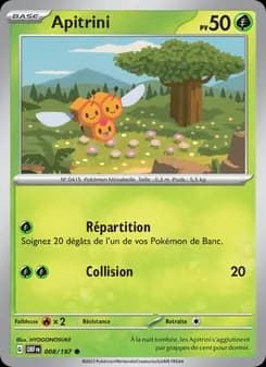 Carte Pokémon