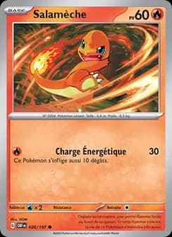 Carte Pokémon