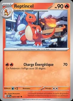 Carte Pokémon
