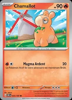 Carte Pokémon