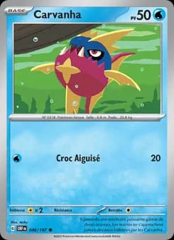 Carte Pokémon