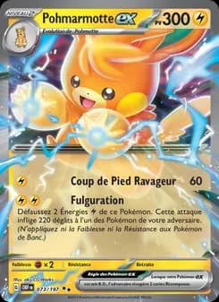 Carte Pokémon