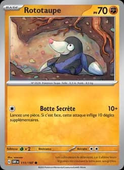 Carte Pokémon