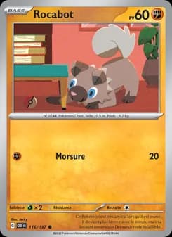 Carte Pokémon
