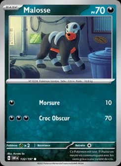 Carte Pokémon