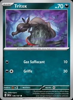 Carte Pokémon