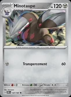 Carte Pokémon