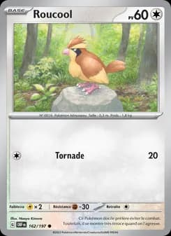 Carte Pokémon