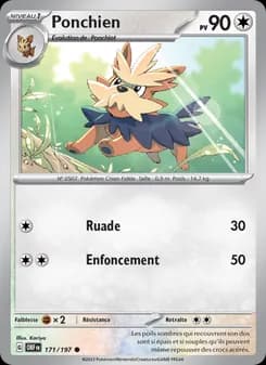 Carte Pokémon