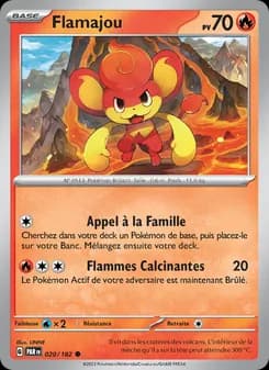 Carte Pokémon