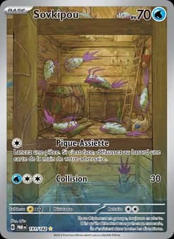 Carte Pokémon