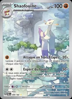 Carte Pokémon