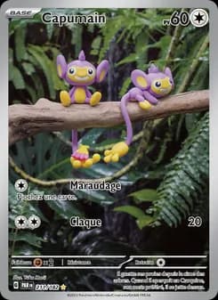 Carte Pokémon