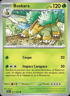 Carte Pokémon