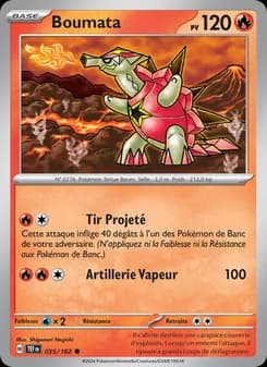 Carte Pokémon