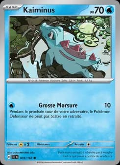 Carte Pokémon