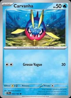 Carte Pokémon