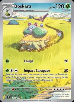 Carte Pokémon