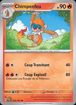 Carte Pokémon