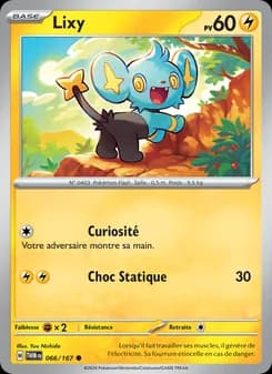 Carte Pokémon